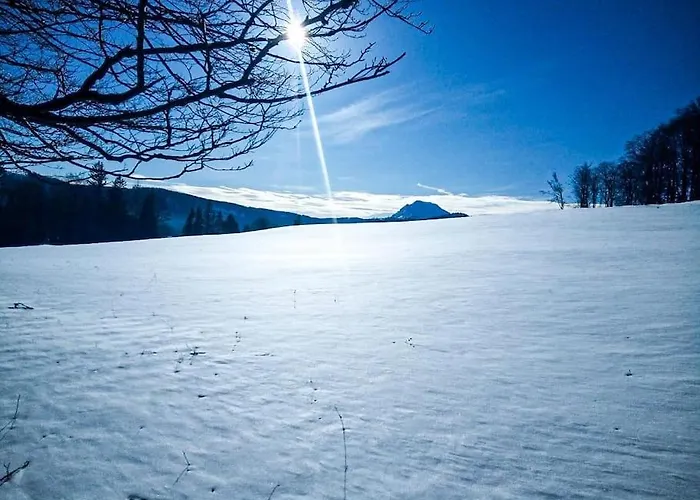 Almhuette In Alleinlage Offgrid Chalet